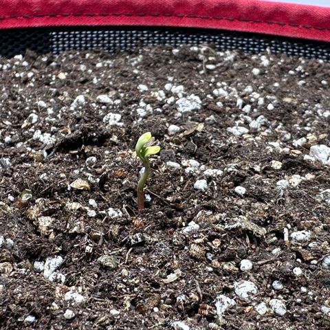 A-AAK47 growlog photo: D1