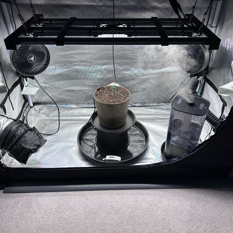 T-AK47 growlog photo: D3