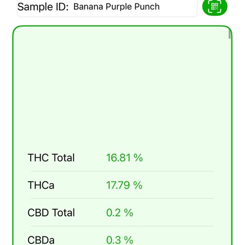 T1-BPP growlog timeline photo