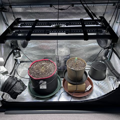 A-AAK47 growlog photo: D3