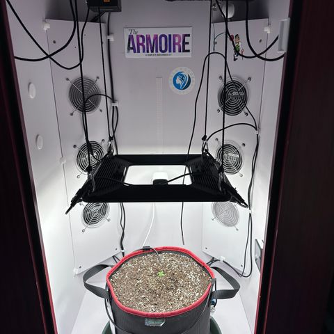 A-AAK47 growlog photo: D4