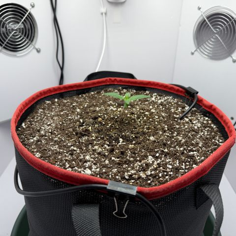 A-AAK47 growlog photo: D8