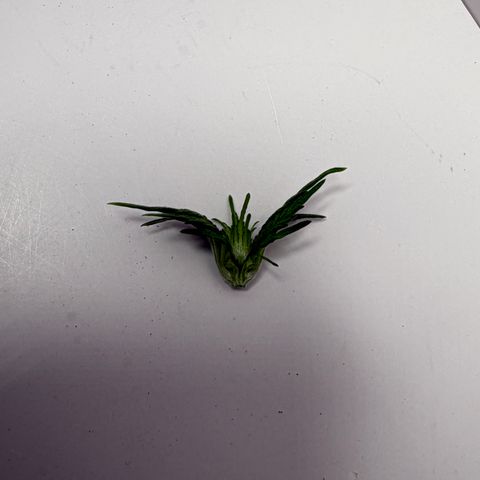 A-AAK47 growlog photo: D14