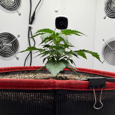 A-AAK47 growlog photo: D22