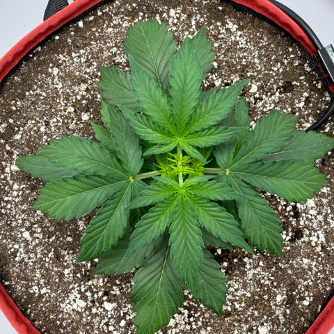 A-AAK47 growlog photo: D22