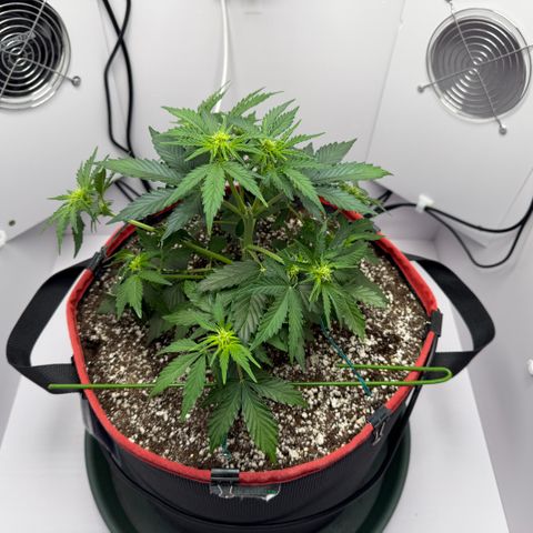 A-AAK47 growlog photo: D29