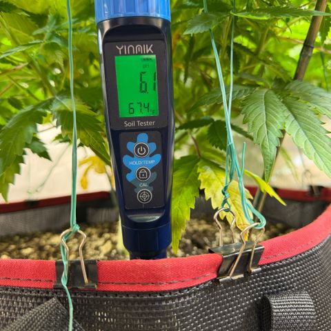 T-AK47 growlog timeline photo