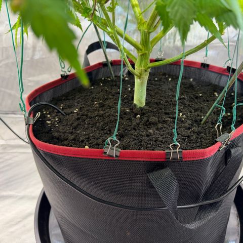 T-AK47 growlog photo: D78