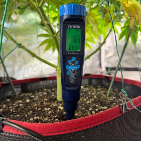 T-AK47 growlog photo: D83