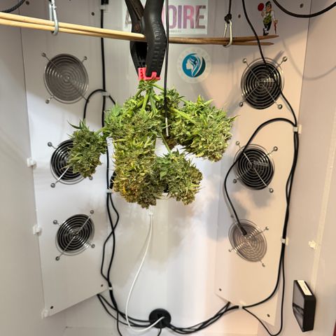 A-AAK47 growlog photo: D85