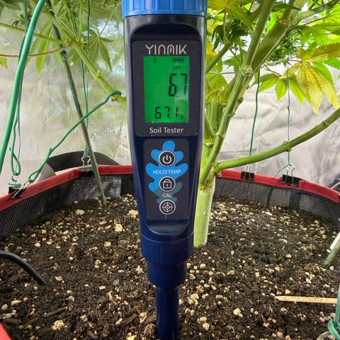 T-AK47 growlog timeline photo
