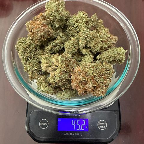 A-AAK47 growlog timeline photo