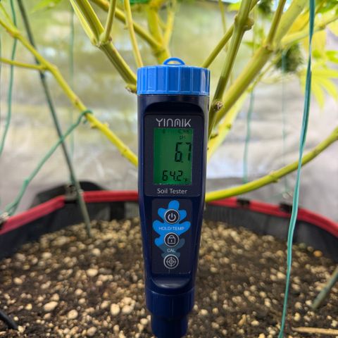 T-AK47 growlog photo: D112