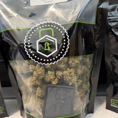 T-AK47 growlog timeline photo