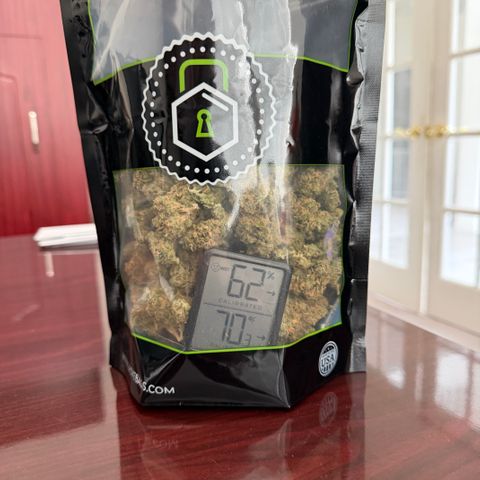 T-AK47 growlog timeline photo