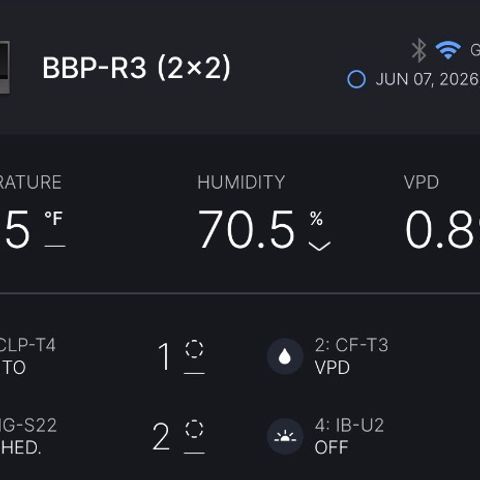 A-BPPR3 growlog photo: Day 4