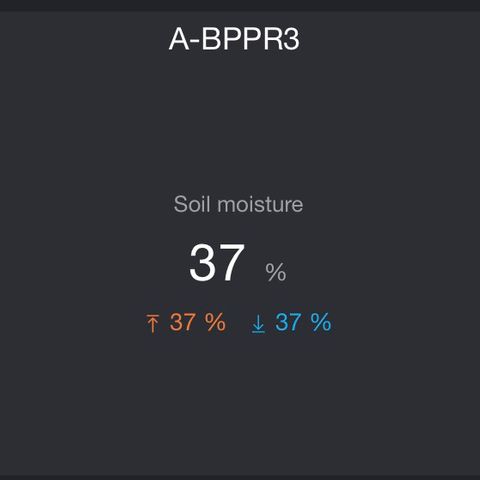 A-BPPR3 growlog photo: Day 10