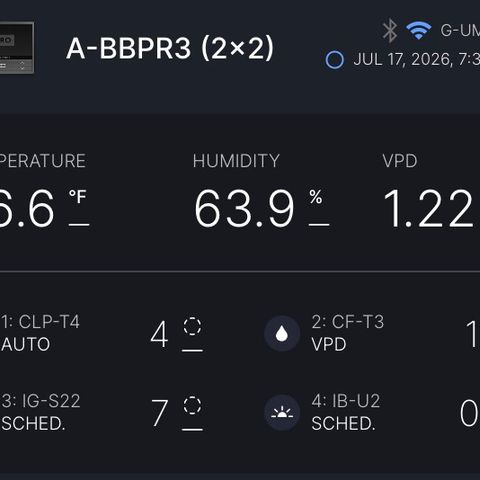 A-BPPR3 growlog photo: Day 44