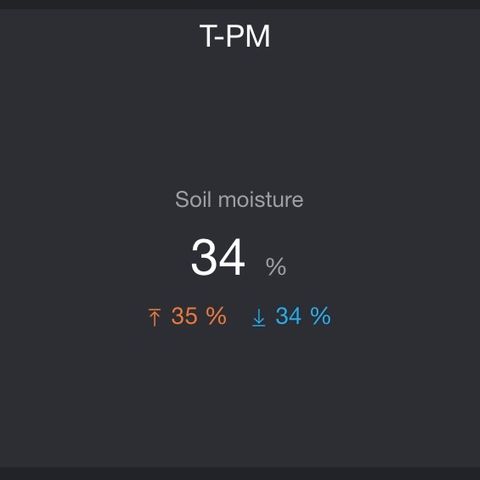 Foto del growlog de T-PM: Day 24