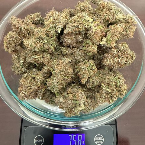 Growlog-Zeitleistenfoto von A-BPPR3