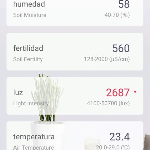 Wappa growlog photo: 1er riego 250ml y 2do riego 250 ml y estado final