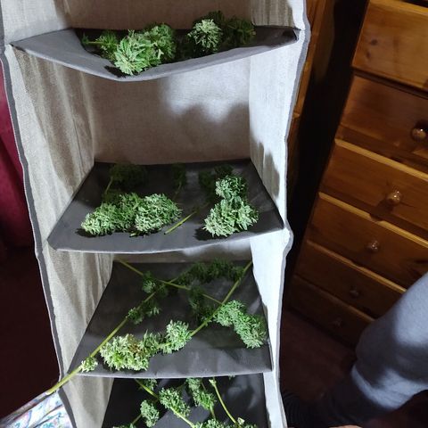 OutLaw growlog photo: A secarse! 😻