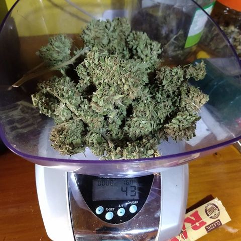 OutLaw growlog photo: Va al frasco 🥰👏🏼😋