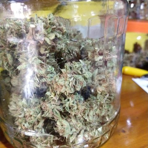 OutLaw growlog photo: Enfrascado 😻