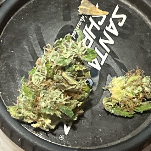 kk growlog timeline photo