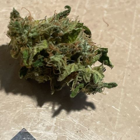 kk growlog timeline photo
