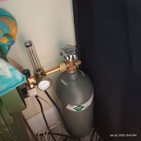 Diet Durban THC-V 1:1 ratio growlog photo: Moved to 2X2 tent with CO2 