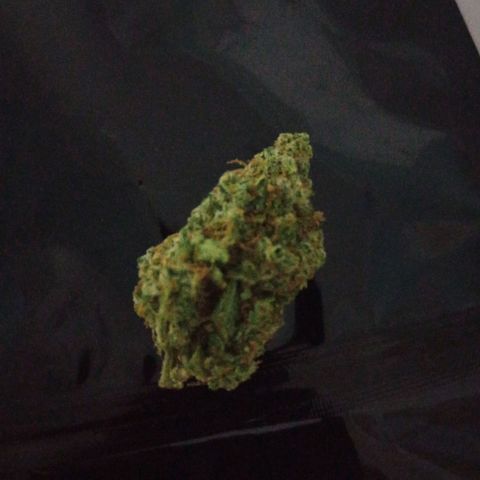 Pineapple Express  growlog photo: Some buds. I don't know why my phone can't take better pictures.