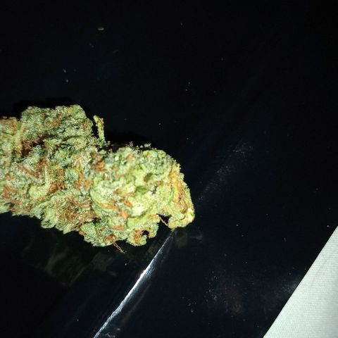 Pineapple Express  growlog photo: Some buds. I don't know why my phone can't take better pictures.