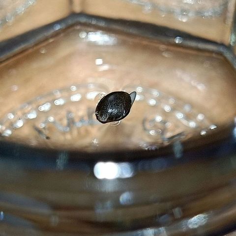 Moby Dick growlog photo: 23 hrs later💚