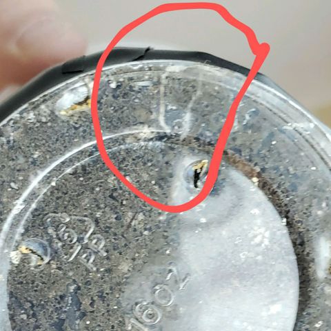 #2 growlog photo: 7:45pm