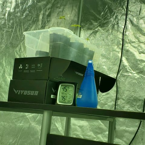 #2 growlog timeline photo