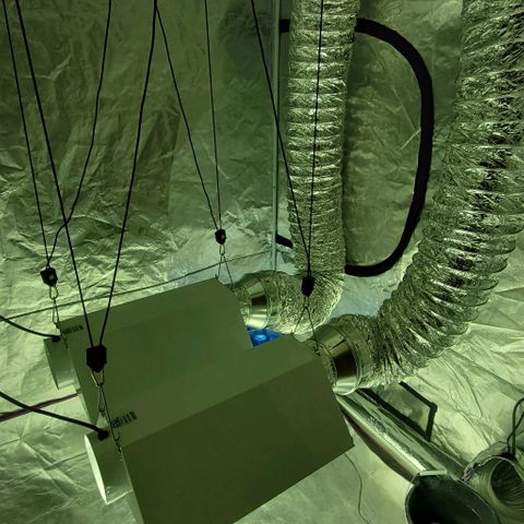 #2 growlog photo: Updated ventilation!
Lights fully adjustable now!