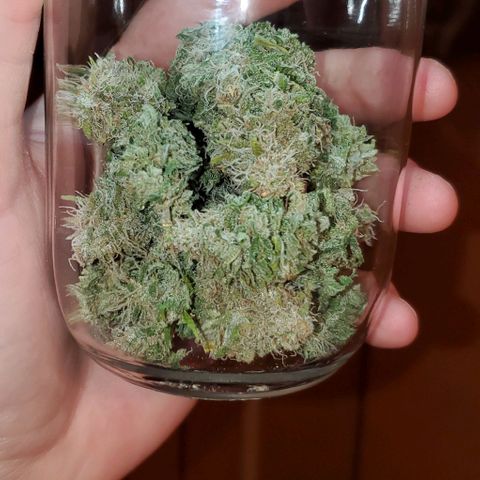 #2 growlog timeline photo