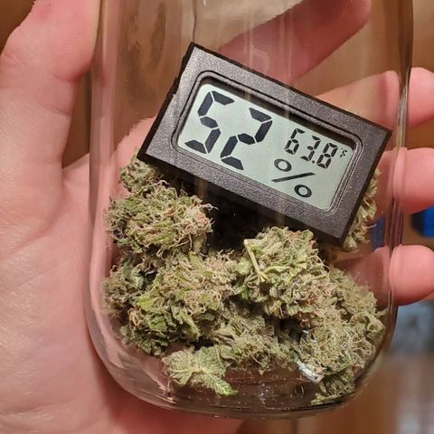 #2 growlog timeline photo