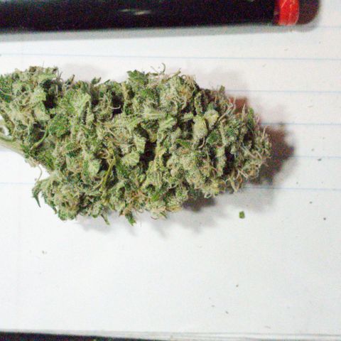 #2 growlog timeline photo