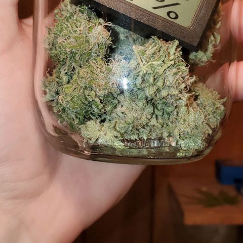 #2 growlog timeline photo