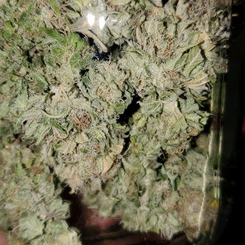 #2 growlog photo: 1.88oz total, overall very happy. 