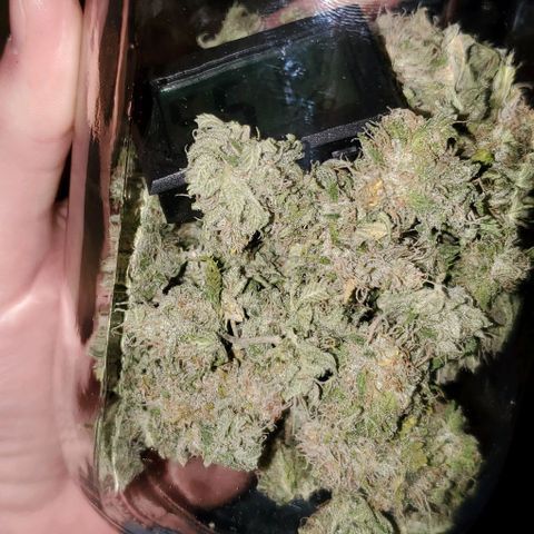 #2 growlog photo: 1.88oz total, overall very happy. 