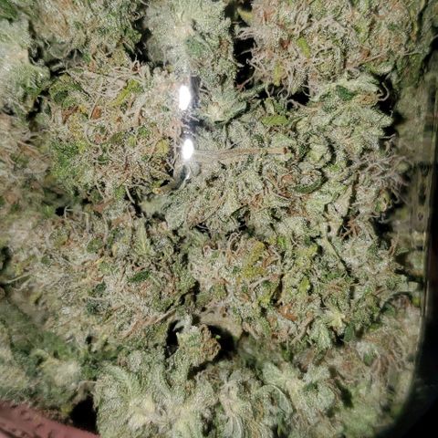 #2 growlog photo: 1.88oz total, overall very happy. 