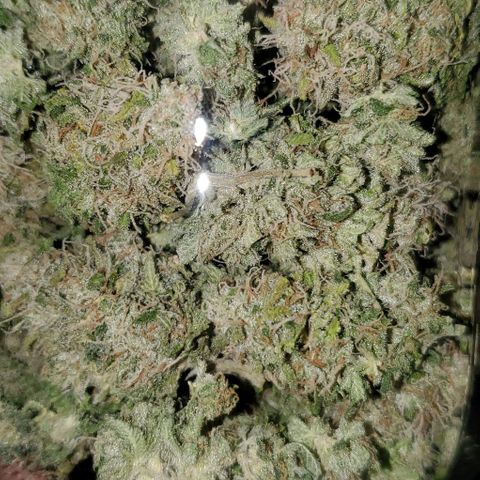 #2 growlog photo: 1.88oz total, overall very happy. 