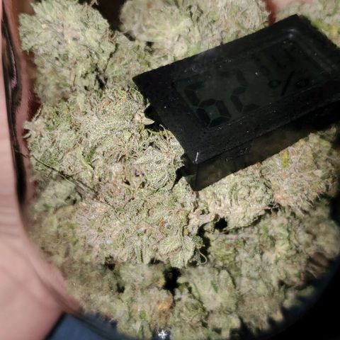 #2 growlog photo: 1.88oz total, overall very happy. 