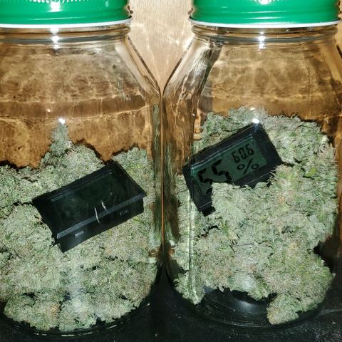 #2 growlog photo: 1.88oz total, overall very happy. 