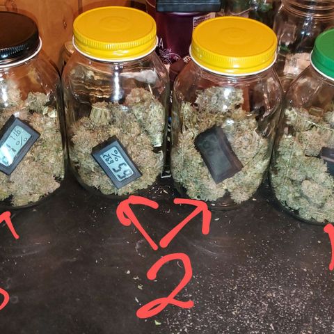 #1 growlog timeline photo