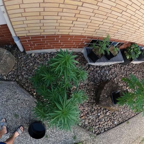 "Anna-Rebecca" growlog timeline photo