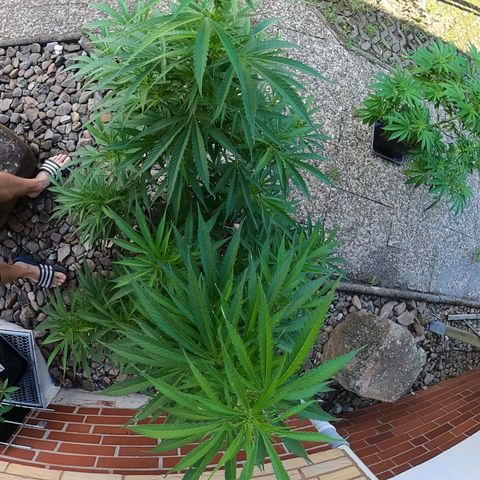 "Anna-Rebecca" growlog timeline photo